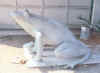 Frog_left_side_1976.jpg (20303 bytes)